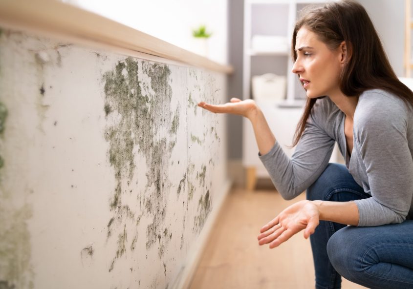 Limpieza y remoción de moho en Panamá