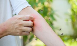 Limpieza profesional contra dengue en Panamá