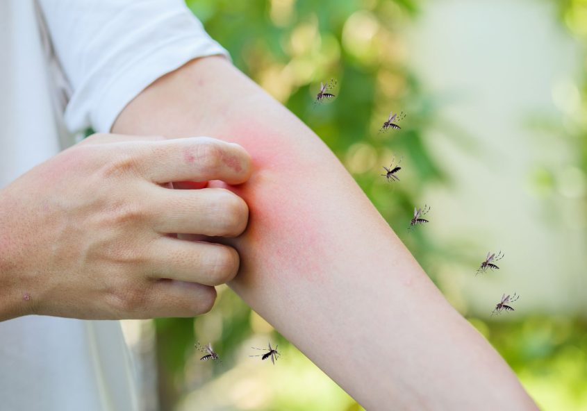 Limpieza profesional contra dengue en Panamá